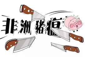 非瘟清除计划——非洲猪瘟早期检测与拔牙式精准清除图片