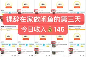 裸辞在家做闲鱼的第三天打卡图片