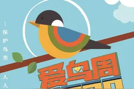 福建“爱鸟周”，寿宁检察与您一起学习爱鸟护鸟法律知识图片