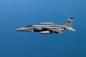 有点小个性小奇葩 美洲虎攻击机 120图图片