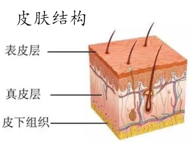 你了解自己的皮肤吗？