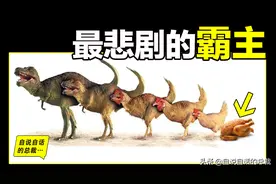 鸡为何每天下蛋？鸡蛋被拿不生气？恐龙时代BUG，鸡是地球霸主图片