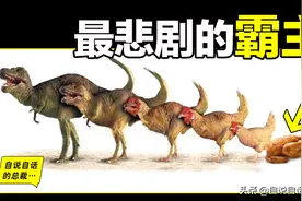 鸡为何每天下蛋？鸡蛋被拿不生气？恐龙时代BUG，鸡是地球霸主图片