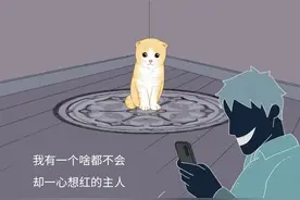要遭受多少虐待，才能成为一只网红猫？图片