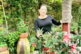 45岁阿姨：让我做有偿保姆也行，但要答应我3个条件，不然不干图片
