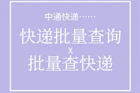 中通快递单号查询，一键批量查询所有单号的物流信息图片