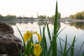 夏天什么样，看看花儿怎么说，了解一下夏天你忽略的细节图片