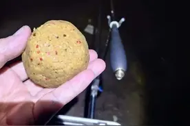 老鬼新品大板鲫·狂拉两次试钓效果稳定，鱼获喜人图片