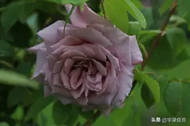 最适合发朋友圈的句子，精致大气，干净有品味图片