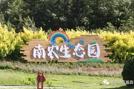 火龙果加入昌平种植“群聊”，摘水果、做游戏，这个周末约起来图片