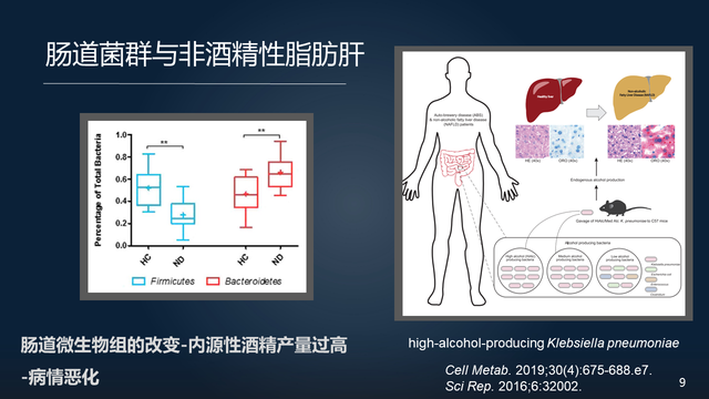 庞艳莉：22分钟详解肠道菌群与代谢疾病