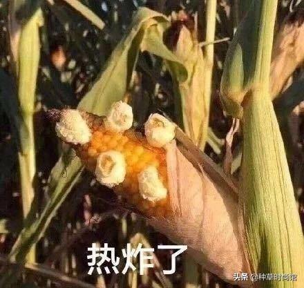 身体乳水油分离怎么判断