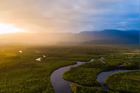 “中国人吃一块肉，亚马逊雨林就冒股烟”，美国又要转移视线了图片