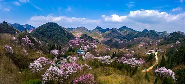北川:安土乐业,时代新景 | 摄影拉力赛图赏