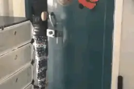 爸爸带娃系列，你永远不知道会发生什么，哈哈哈图片