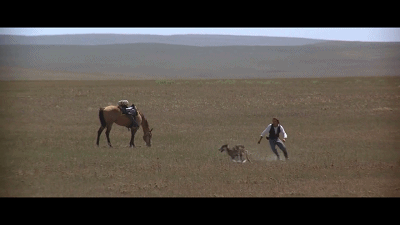 鸡皮疙瘩no.4在线观看