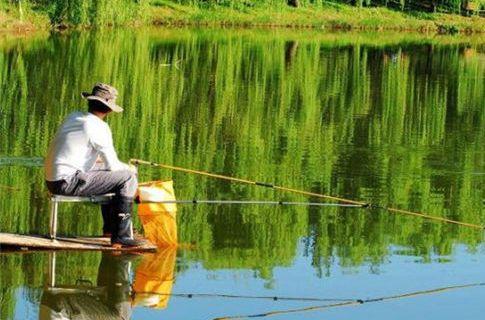 温高水暖鲫鱼不开口，试试添加此物，或许会有不一样的效果