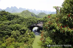 【奖励】特色旅游搞得好，鹿寨获奖励100万元！获奖的还有这些单位！图片