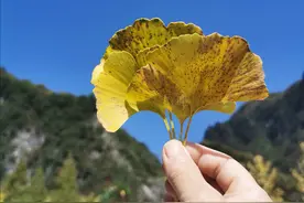 PIN码PUK码，分不清楚，手机和手机卡，哪一个更重要？图片