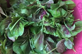 广东端午节餐桌上必不可少的一道用猪油炒的家常菜。图片