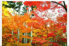 当今社会顺口溜，太绝了！句句大实话！图片