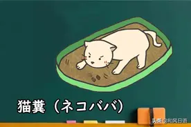 日语词汇丨「猫糞」这个词在日语中是什么意思？图片