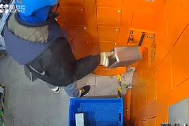 高速公路绿化带里怎么有一个窝棚？原来是小偷做贼心虚藏身处图片