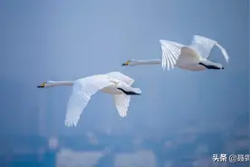 随拍——美丽新世界图片
