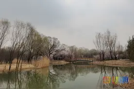 奥森南园“桃花源”有多美？在哪？怎么走？游玩攻略请收好！图片