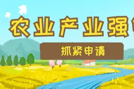 条件有变！抓紧申报！广东省已下发产业强镇申报通知图片