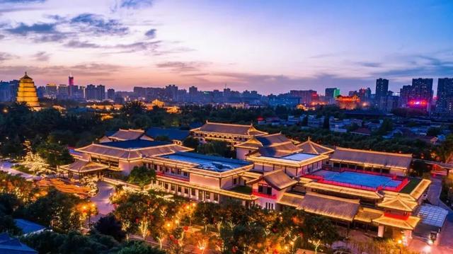 五谷杂粮绘花胶 2026年五谷杂粮花胶图片