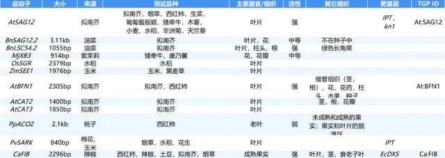 进来抄作业，启动子要这么选