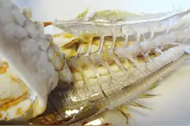 买鱼时，内行人专买这9种纯海鱼，难以人工养殖，看完长知识图片