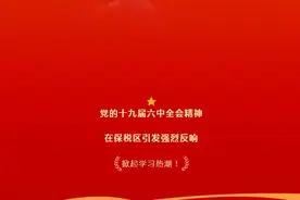 掀起学习热潮！党的十九届六中全会精神在保税区引发强烈反响图片