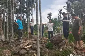 查堵点 破难题 促发展丨龙门镇成功调解一起土地补偿款争议事件图片