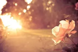 这样回你微信的人，就算了吧图片