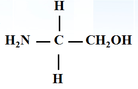 高中生物：蛋白质的基本单位——氨基酸 教学设计