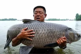 为什么钓鱼时会钓到死鱼？带你看看详细的解释图片