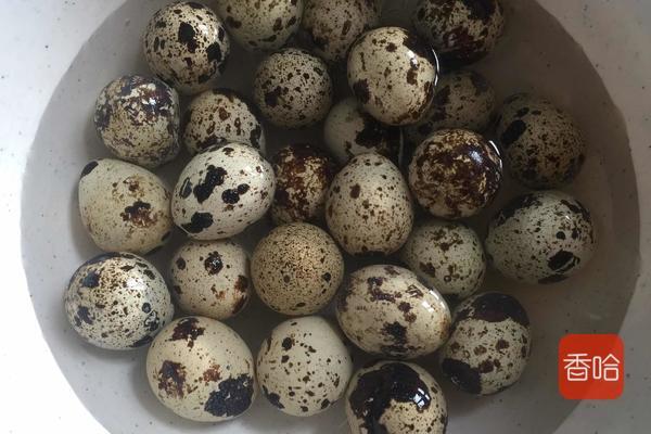 它含有20种氨基酸，好吃又不贵，孩子个子高于同龄人，脑瓜灵