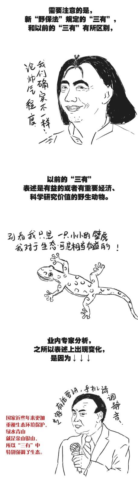有画说丨“三有”动物？什么意思？是不是写错了？来，一起“涨姿势”