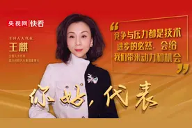 全国人大代表王麒：正面迎击挑战 在危机中育新机图片