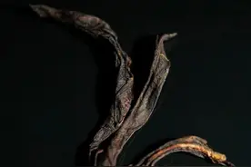 除了喝，茶叶的20种另类的用法（小妙招）图片