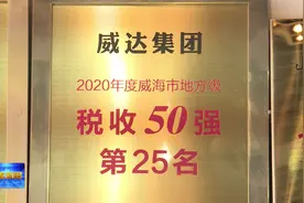 威达集团：21年“隐形冠军”开启全新成长图片