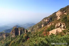 临报头条丨平邑：“五化”引领六大传统产业转型升级图片