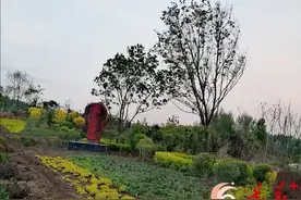 长春九台区 “清水”出芙蓉 “村”光无限美图片