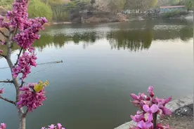 快看看你的退休待遇能提高吗？图片