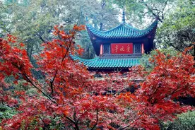 长沙假日最硬核溜娃攻略！乐园野餐、人文艺术，五一玩到爽！图片