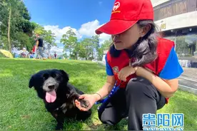 贵阳爱宠小动物保护协会举办流浪小动物认领活动图片
