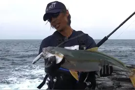 礁石上的岸抛铁板试钓，海钓感觉还是不错图片