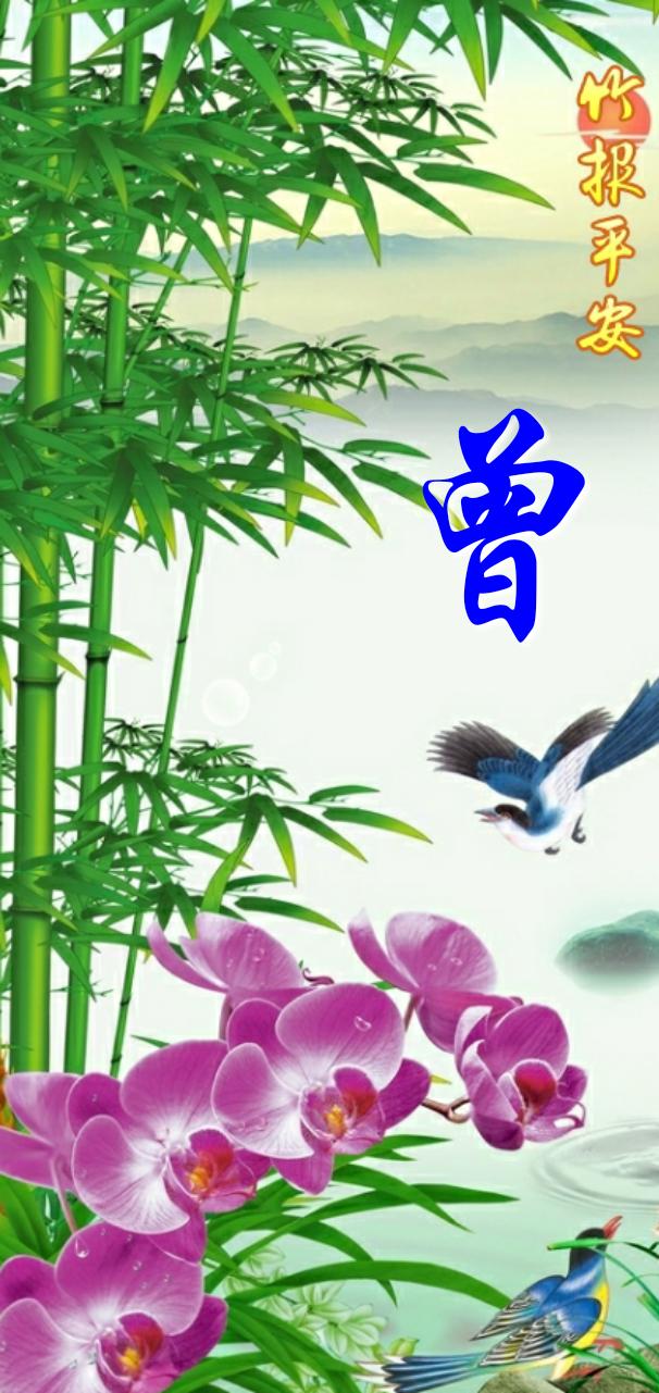 平安是福,常用姓氏竹报平安精美壁纸送给你,全面屏大